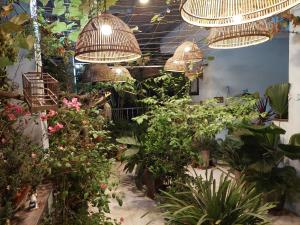 uma sala cheia de plantas e lustres em alleyhomestay 2 em Hanói