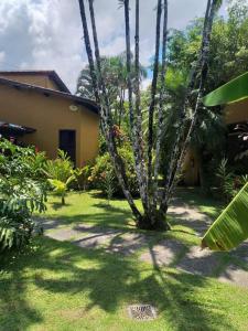 een boom in de tuin van een huis bij Chalé Praia de Boiçucanga in Boicucanga