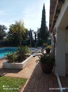 un patio con piante e una piscina di Villa Gwendolin a Portimão