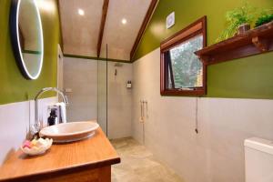 y baño con lavabo y ducha. en Womberroo, Kangaroo Valley, en Bellawongarah