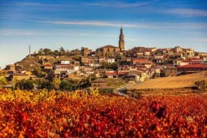 een stad op een heuvel met een stad bij Chalet entero en La Rioja in Briones