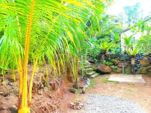 a garden with palm trees and a stone wall at Mount Rest Villa in Hikkaduwa
