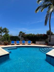 una piscina con sillas azules y palmeras en Casa Marrakech VIP, en El Agua