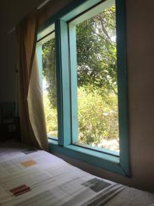 1 dormitorio con ventana, cama y árbol en Paikea Hostel Praia do Rosa en Praia do Rosa