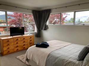 a bedroom with a bed and a tv and windows at Family Adventure Get Away in Rotorua