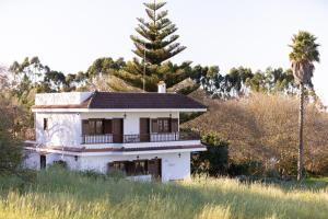 una vecchia casa bianca in un campo con una palma di Lightbooking Casa de campo Ortigal Tenerife a La Caridad