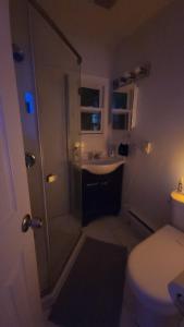 a bathroom with a shower and a toilet and a sink at Zen Oasis in Newark