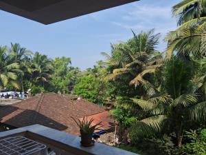 Coconut Grove Holiday Apartment في فاكا: اطلالة من بلكونة منزل فيه نخيل