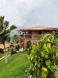 una casa en una colina con una palmera en Cabaña Mirador del Otún, en Pereira