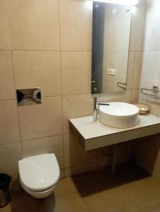 a bathroom with a sink and a toilet and a mirror at Woodsmoke Retreat in Shimla