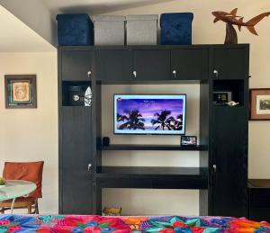 TV en un estante de un dormitorio en Beachfront Hammock Heaven, en Akumal