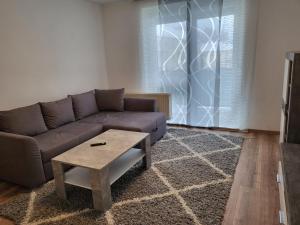 a living room with a couch and a coffee table at Exclusivwohnung Hohenmölsen in Hohenmölsen