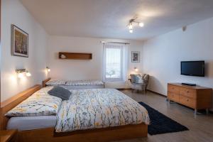 a bedroom with two beds and a flat screen tv at Pension Lunatyk in Liptovský Mikuláš