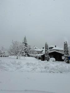 Frühstückspension Monika, B&B in Kaprun including SUMMERCARD durante l'inverno