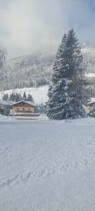 ein schneebedecktes Feld mit einem Haus und einem Baum in der Unterkunft Appartements Haus Bergland in Sankt Martin am Tennengebirge