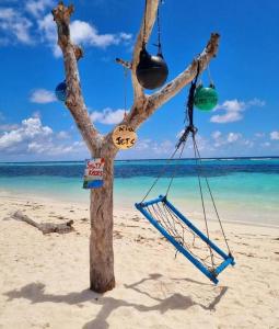 a tree on the beach with a swing at Amore Apartment, Maldives in Dhangethi