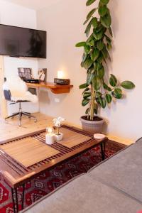 科拉欣Home rent NABRDO的客厅里有一张桌子和一盆盆栽