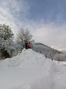 Hintererhof during the winter
