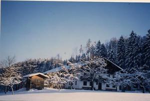 een huis bedekt met sneeuw voor de bomen bij Windhaghof in Kramsach