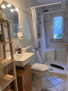 a bathroom with a toilet and a sink and a shower at Spreewaldhaus Raddusch, Boote- Fahrräder gratis in Raddusch