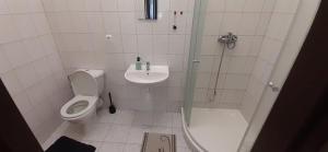 Koupelna v ubytování Apartmány Elisabeth + 37 fotografií