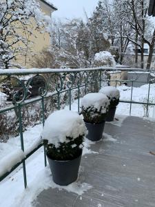 a group of pots covered in snow next to a rail at Privatzimmervermietung in Salzburg