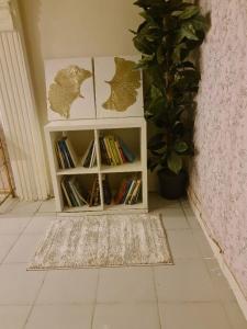 a book shelf with books on it next to a plant at بيت الياسمين2 in Al Madinah