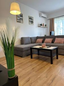 a living room with a couch and a table at GLAM APARTMENTS Lipatti near Iulius Mall in Timişoara