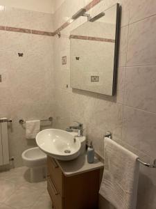 阿巴迪亞聖薩瓦托的住宿－La casa di Chicca，一间带水槽、卫生间和镜子的浴室