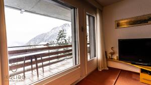 Μια τηλεόραση ή/και κέντρο ψυχαγωγίας στο Apartment Riederhof, Riederalp