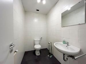 a white bathroom with a toilet and a sink at Cozy Apartment in Eichenzell