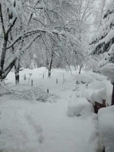 Gallery image of Хотел Велена in Apriltsi