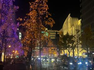 een stadsstraat versierd met kerstverlichting 's nachts bij USY Shinsaibashi in Osaka