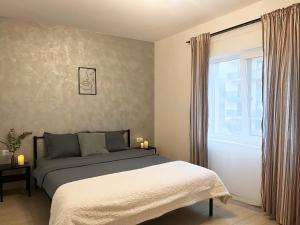 una camera con letto e finestra di AmurResidence ap3 2 rooms 5min-Airport/Center free parking a Iaşi