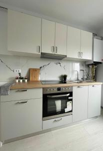 Kuchyň nebo kuchyňský kout v ubytování AmurResidence ap3 2 rooms 5min-Airport/Center free parking