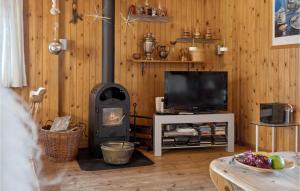 salon z piecem opalanym drewnem i telewizorem w obiekcie 3 Bedroom Nice Home In Bog By w mieście Bogø By