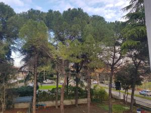 un grupo de árboles en un parque en Casa frà i Pini, en Imola