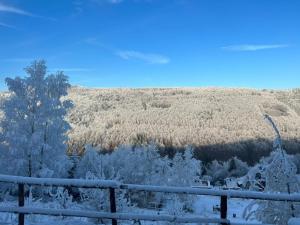 widok na pokryte śniegiem wzgórze z lasem w obiekcie Szczyrkowskie SKI & FUN 3 z balkonem w Szczyrku