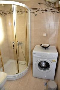 La salle de bains est pourvue d'une douche et d'un lave-linge. dans l'établissement Andros Country Residence, à Makrotándalon