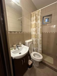 La salle de bains est pourvue d'un lavabo, de toilettes et d'un miroir. dans l'établissement Cozy Apartament, à Galaţi