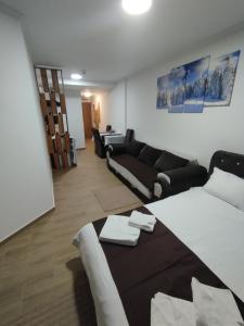 ein Wohnzimmer mit einem Bett und einem Sofa in der Unterkunft Lela Kop in Kopaonik