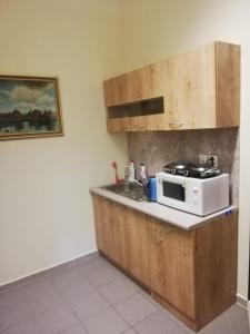 Küche/Küchenzeile in der Unterkunft Apartmány Elisabeth