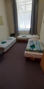 3 Betten in einem Zimmer mit Fenster in der Unterkunft Apartmány Elisabeth in Železná Ruda