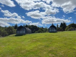 zwei Kuppeln auf einem grasbewachsenen Hügel mit blauem Himmel in der Unterkunft Warren Farm Retreat - Pod 1, Pod 2, and The Lodge by SSW in Cardiff