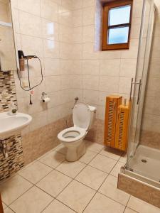 een badkamer met een toilet, een wastafel en een douche bij heurigengasthof prinz in Krumau am Kamp