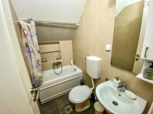 a small bathroom with a toilet and a sink at Ararat Penthouse in Zlatibor