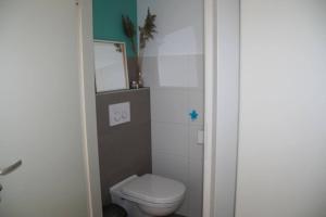 ein kleines Bad mit einem WC und einem Spiegel in der Unterkunft Liguster 74* in Nieuwvliet