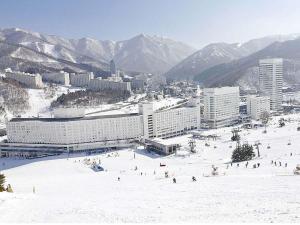 a group of people on a ski slope in the snow at Naeba Prince Hotel in Yuzawa