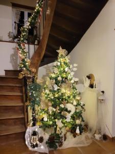 Fotografie z fotogalerie ubytování Relais de la poste ch Rose v destinaci Monclar-de-Quercy