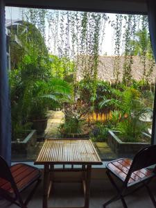 Zahrada ubytování Homestay Bảo Bình